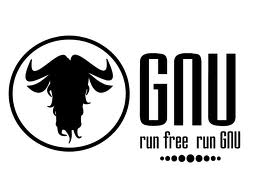 run_gnu
