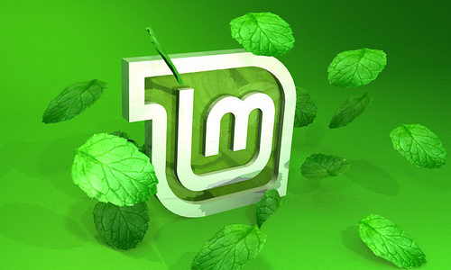 GO OPEN -Linux Mint